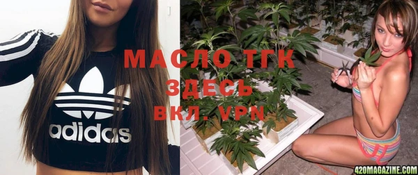 тгк Абинск