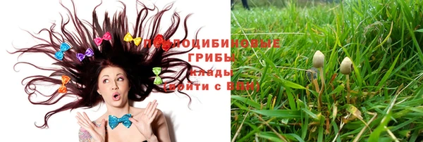 apvp Абаза