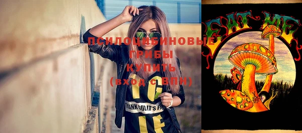 шишки Абдулино