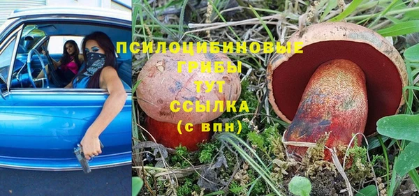 тгк Абинск