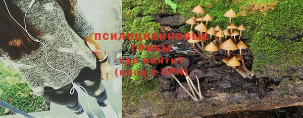 тгк Абинск